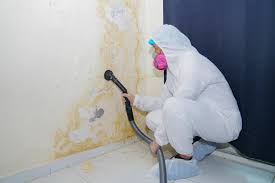 Best HVAC Mold Inspection and Cleaning  in Richwood, LA